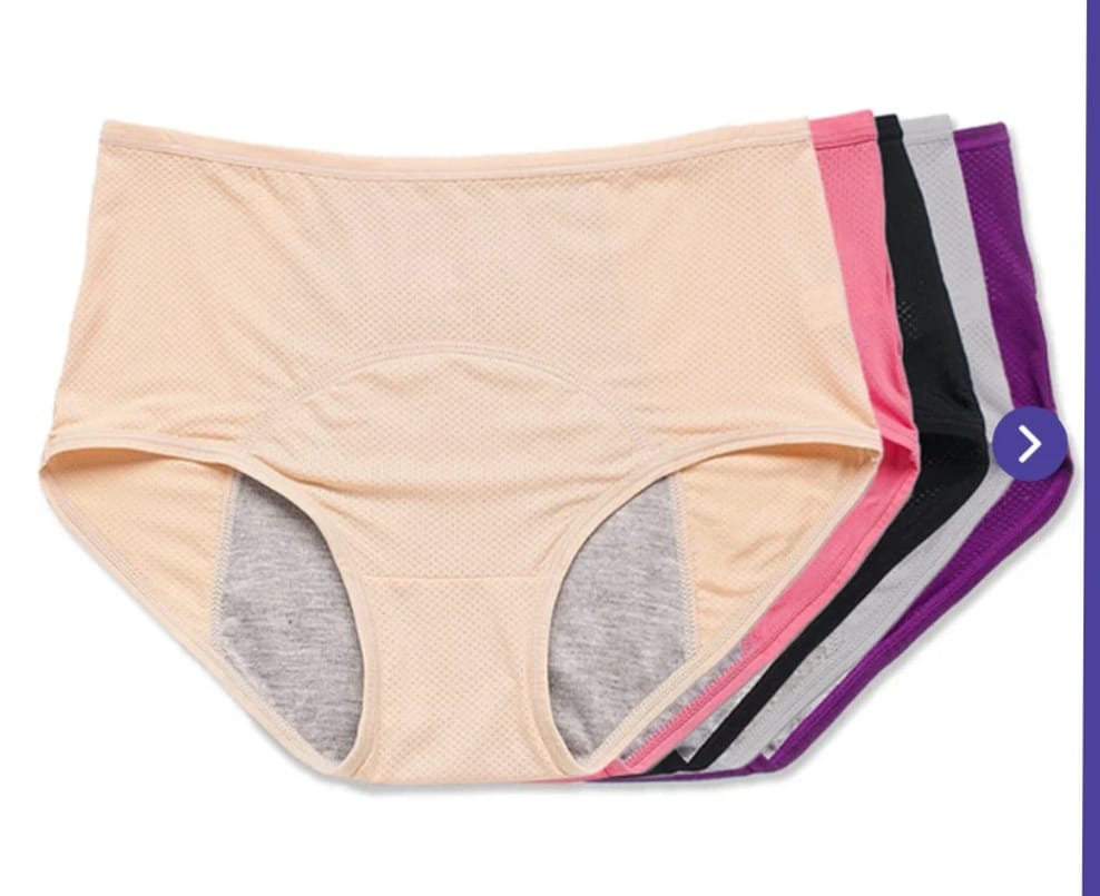 Pack Of 4 High-Waist Leak Proof Panty